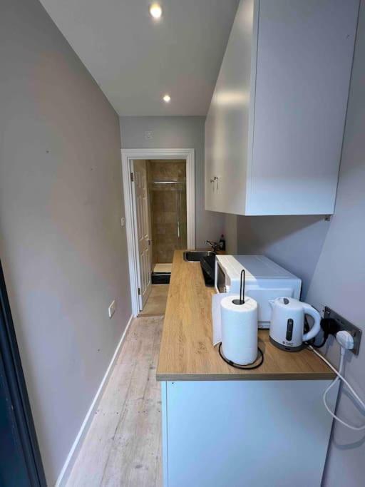 Newly Built Large Garden Ensuite Guest Studio Borehamwood Zewnętrze zdjęcie
