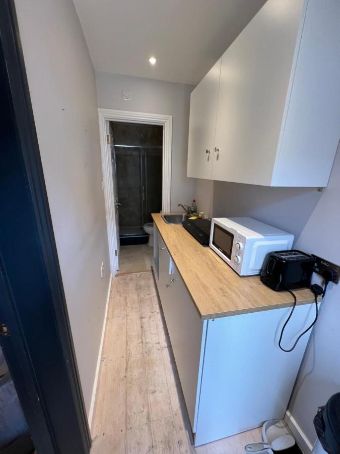 Newly Built Large Garden Ensuite Guest Studio Borehamwood Zewnętrze zdjęcie